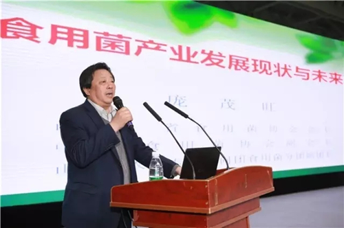 2017全国“小蘑菇 大产业”健康万里行邹城站报告会举行