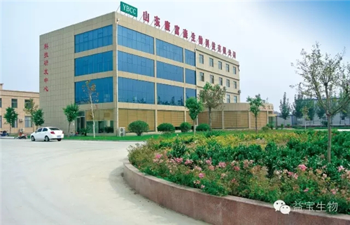 益宝生物高层与美英直销大咖共商国际市场启动计划