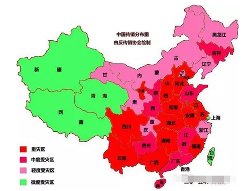 广西为何是中国传销的第一重灾区