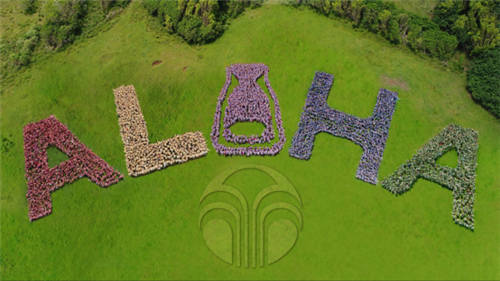 如新夏威夷“拍大片” 引领智能护肤新风尚