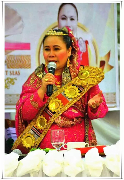 菲律宾巴拉望岛及棉兰岛国王王后一行考察隆力奇