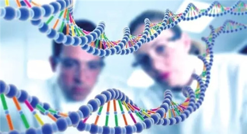 抗衰老产业具有极大潜力，未来将迎来爆发式增长