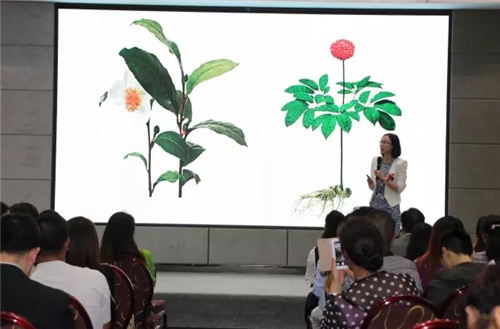 “2017云南分公司理想科技创业精英4月表彰盛典”隆重举行