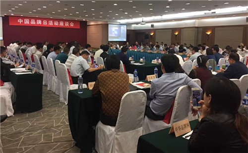 中脉、五粮液等知名企业参与首个“中国品牌日”座谈会