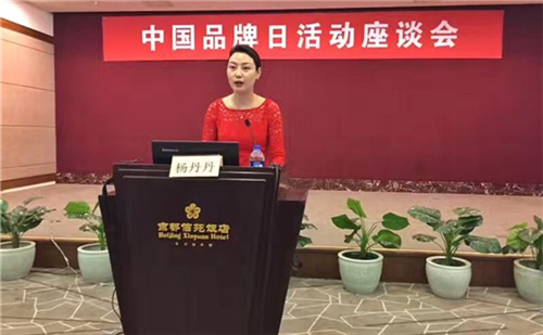 中脉、五粮液等知名企业参与首个“中国品牌日”座谈会