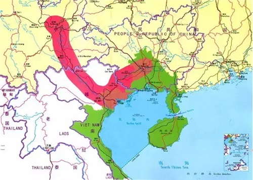 金天国际出席中越经贸论坛 推动生态保养全球化发展