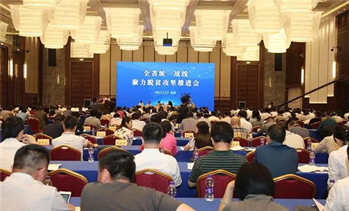 绿之韵董事长胡国安出席湖南省统一战线聚力脱贫攻坚推进会