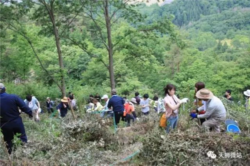 天狮:我们传递爱的脚步,从未停歇