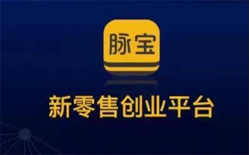 脉宝云店全球正式上线之前，投资者需要反思什么？