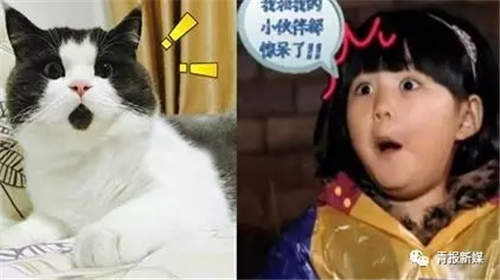 首届“全国创新争先奖”颁发！金诃藏药艾措千榜上有名