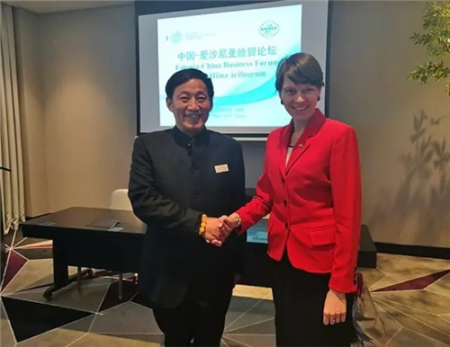 践行“一带一路”战略 金天国际出席中爱经贸论坛