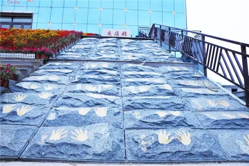 文化之旅,卫康生物集团的特色名片