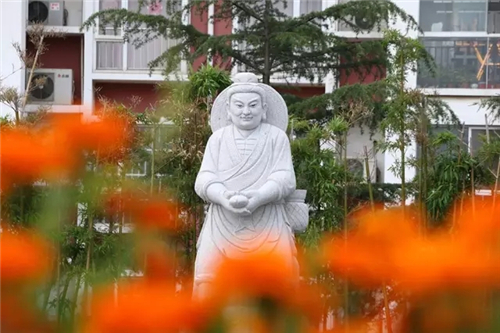 文化之旅,卫康生物集团的特色名片