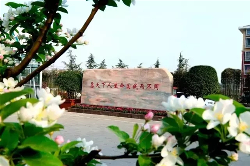 文化之旅,卫康生物集团的特色名片