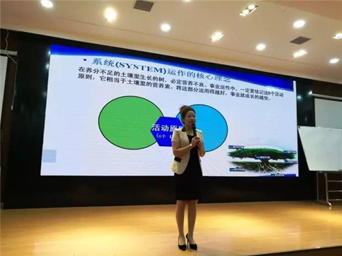 “赢在金日·见证价值”——金日团队特训营成功举行