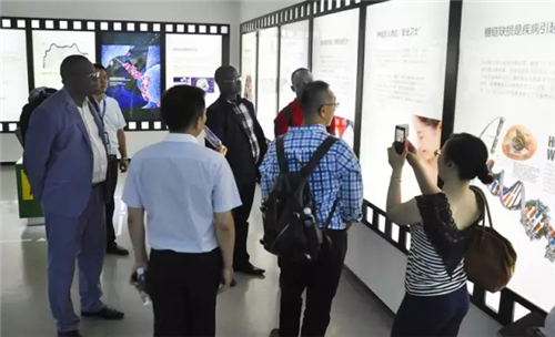 外国友人眼中的卫康