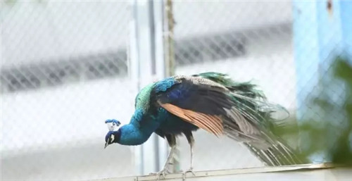 走进太阳神生产基地（四）——饮用水净化产业（上海）基地