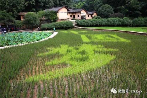 荣格党员争做先锋，走进韶山参观学习