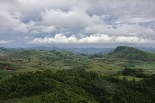 康恩贝旗下天保宁被认定为中国驰名商标