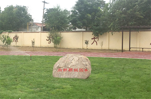 2017让爱传出去——第112所尚赫颜妮小学揭牌仪式举行