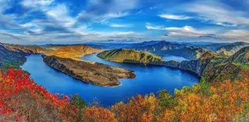 参临其境 康美时代寻“参图腾”一睹挖参风采