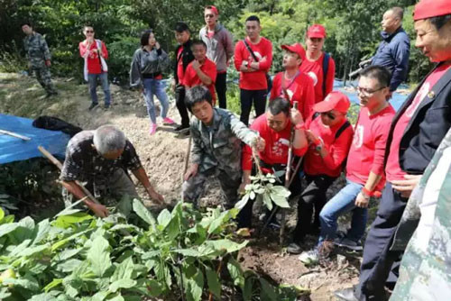 参临其境 康美时代寻“参图腾”一睹挖参风采