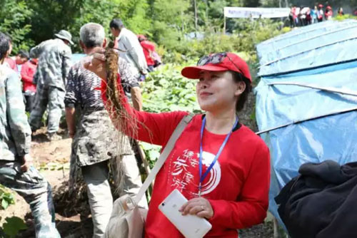 参临其境 康美时代寻“参图腾”一睹挖参风采