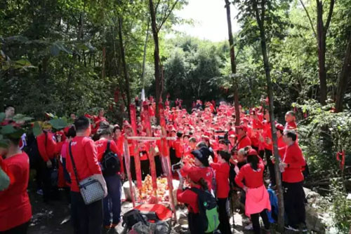 参临其境 康美时代寻“参图腾”一睹挖参风采