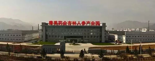 参临其境 康美时代寻“参图腾”一睹挖参风采