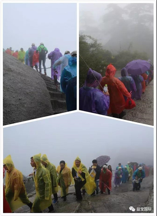 益宝集团绩优经销商华山之旅成功举办！