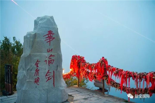 益宝集团绩优经销商华山之旅成功举办！