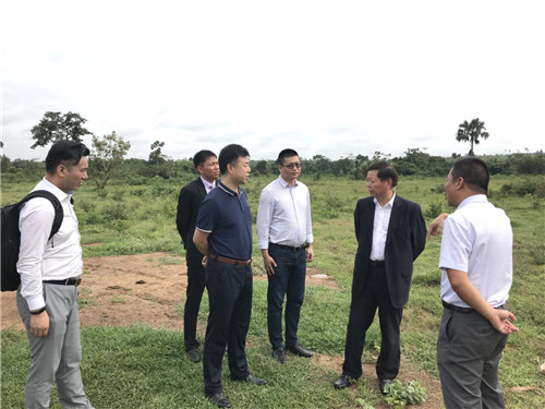 隆力奇“一带一路”渐入佳境,将在尼日利亚建造人工智能工厂