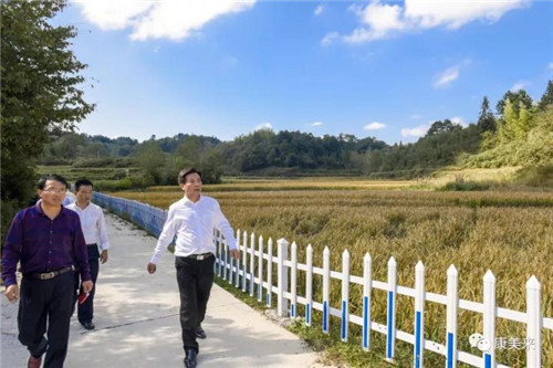 康美来董事长余春富视察桃岭灵芝基地与双河乡大畈村有机香稻基地