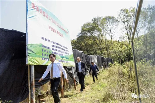 康美来董事长余春富视察桃岭灵芝基地与双河乡大畈村有机香稻基地