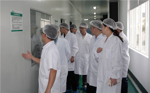 国家工商总局督察组莅临绿之韵集团检查指导工作