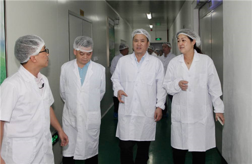 国家工商总局督察组莅临绿之韵集团检查指导工作