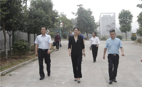 国家工商总局督察组莅临绿之韵集团检查指导工作