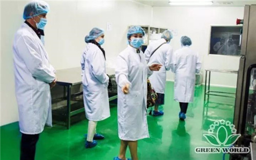 沃德绿世界集团副总裁陈延国参观考察南京生产基地