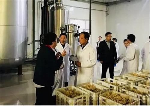 天士力董事局主席闫希军赴威海考察并参加第三届文登西洋参文化节