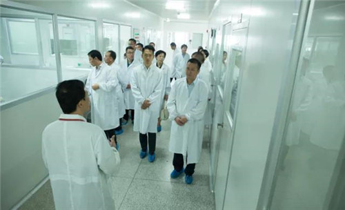 国家工商总局督查组莅临金日视察调研