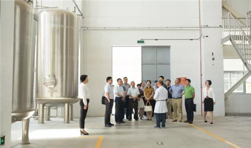 国家工商总局督查组莅临金日视察调研