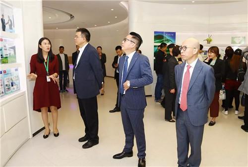 盐城开发区光电产业园周翔书记一行莅临绿叶视察指导