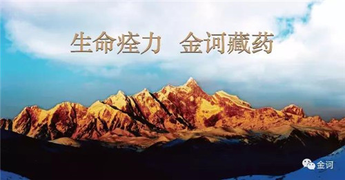 年轻的金诃大健康,正蓄势待发!