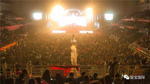 益宝梦 民族魂—益宝集团首届骨骼健康文化节圆满成功