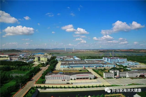 好当家学习十九大精神  共赴新时代  迎接新未来