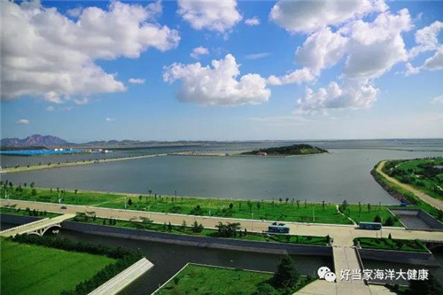 好当家学习十九大精神  共赴新时代  迎接新未来