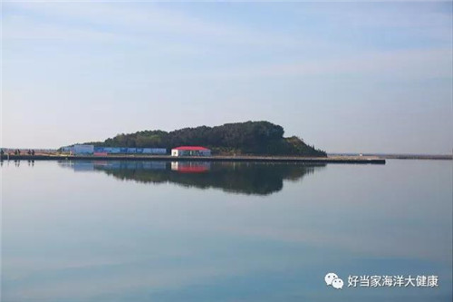 好当家学习十九大精神  共赴新时代  迎接新未来