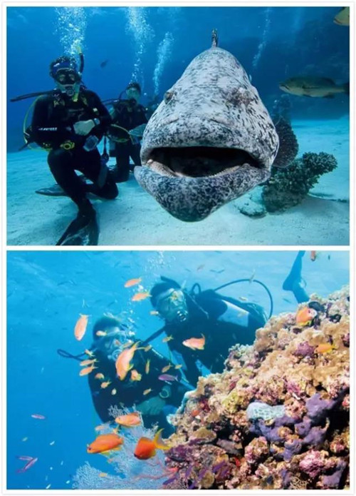 后会有“七”，再访澳大利亚—凯恩斯与大堡礁和安利（中国）相约2019