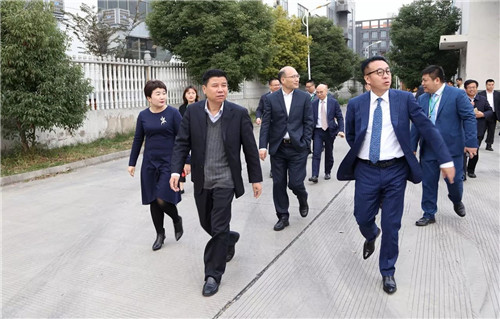 国家级盐城经济技术开发区郭玉生书记携考察团莅临绿叶视察指导