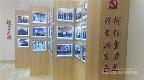 东侨开发区陈旺玉书记、杨良辉主任带队调研安发党建工作